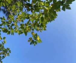 Image_319780583431188