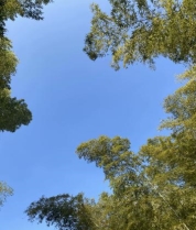 Image_327221616935746