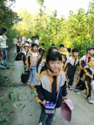 Image_319599331330216